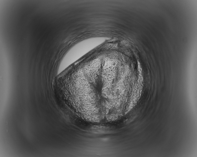 X0000086030699200704131913