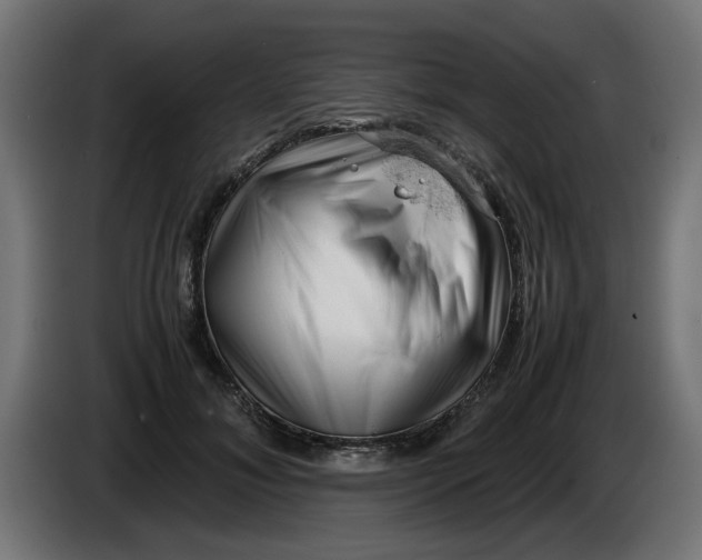 X0000086030700200704131913