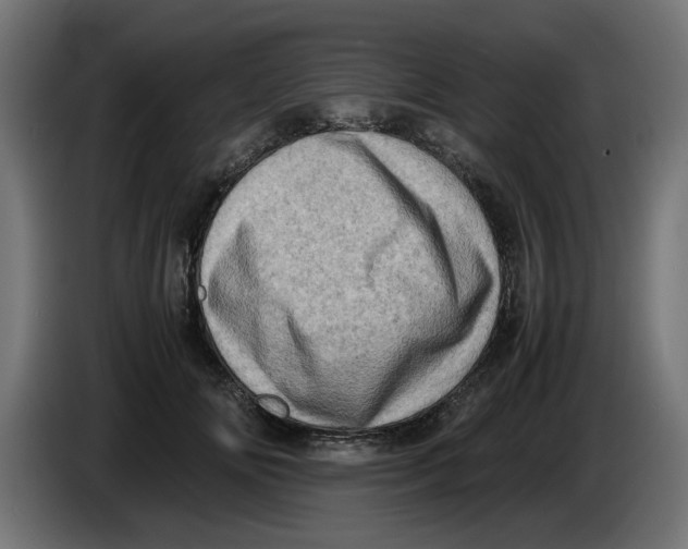 X0000086030702200704131913