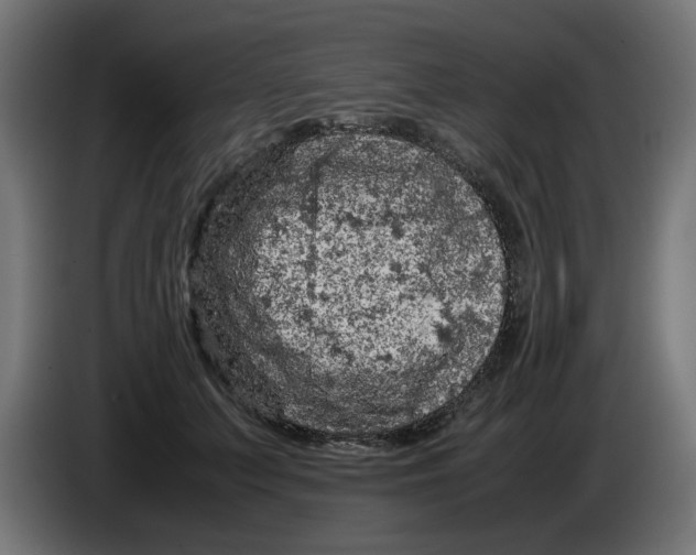 X0000086030703200704131913