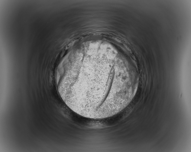 X0000086030704200704131913