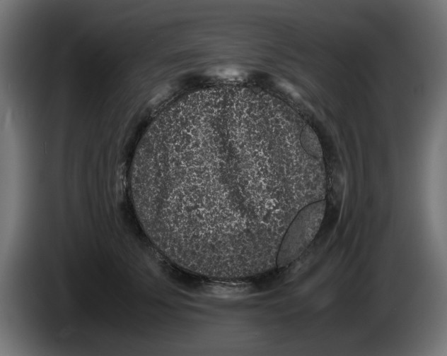 X0000086030707200704131913