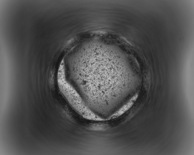 X0000086030708200704131913