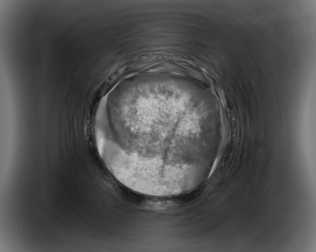 X0000086030712200704131912