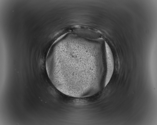 X0000086030714200704131912