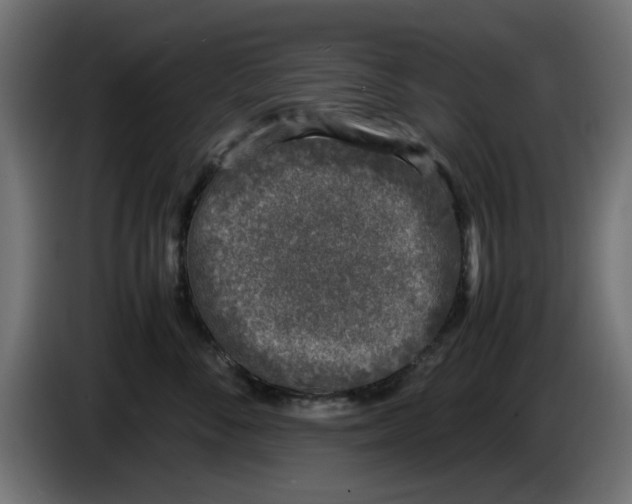 X0000086030716200704131912