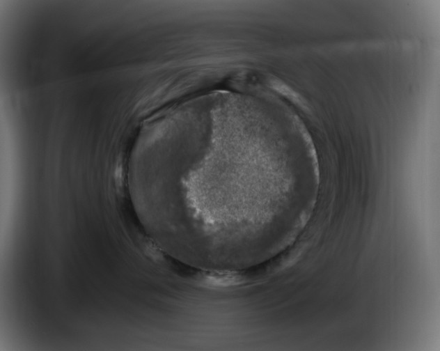 X0000086030720200704131912