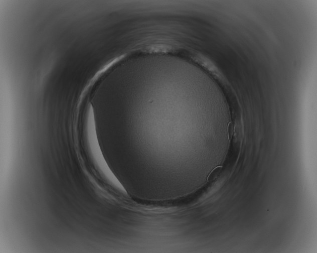 X0000086030722200704131912