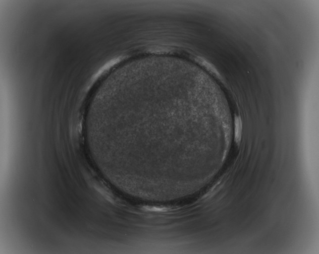 X0000086030723200704131912