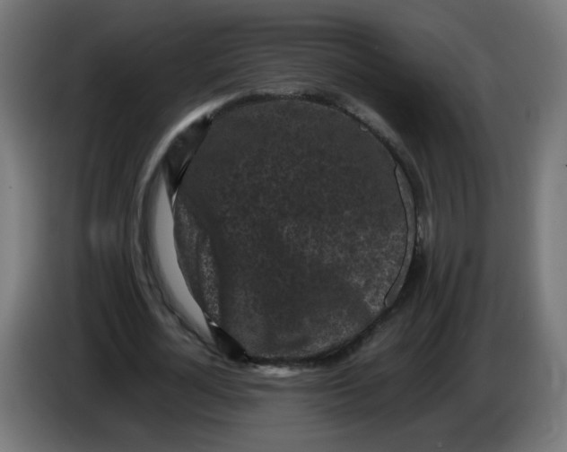 X0000086030724200704131912