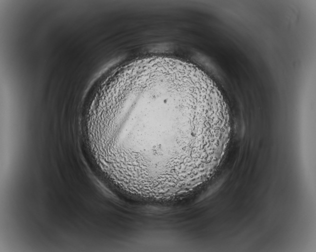 X0000086030725200704131912