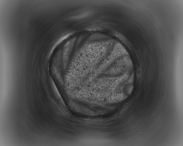 X0000086030727200704131912