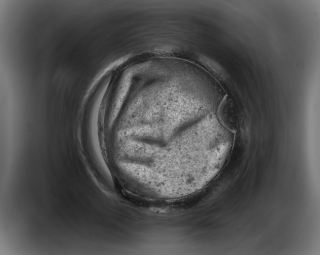 X0000086030728200704131912