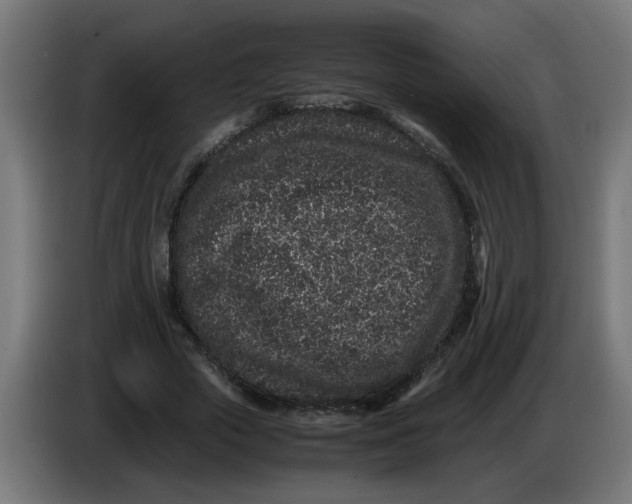 X0000086030729200704131912