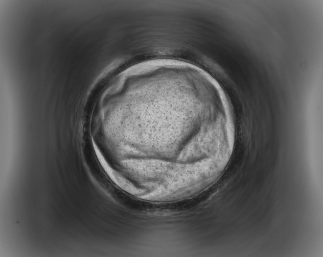 X0000086030730200704131912