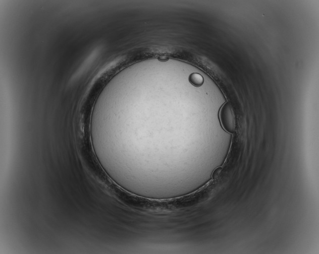 X0000086030731200704131912