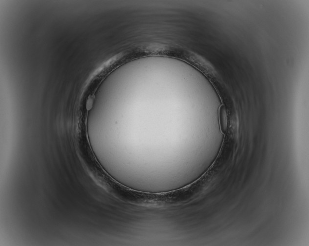 X0000086030732200704131912