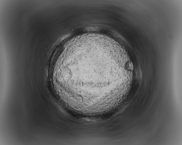 X0000086030733200704131912