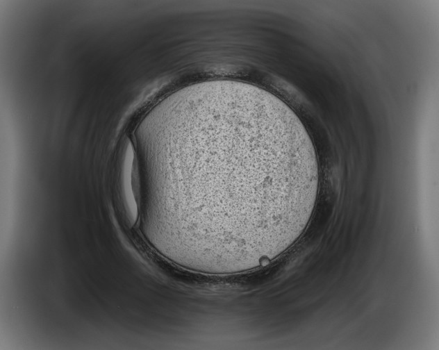 X0000086030734200704131912