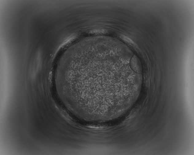 X0000086030735200704131912