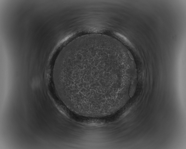 X0000086030736200704131912