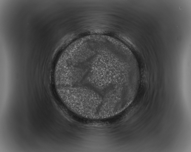 X0000086030738200704131912