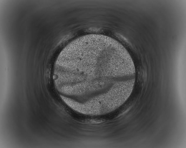 X0000086030739200704131912