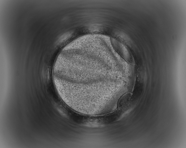 X0000086030740200704131912