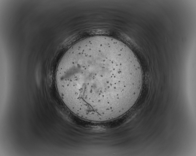 X0000086030741200704131912