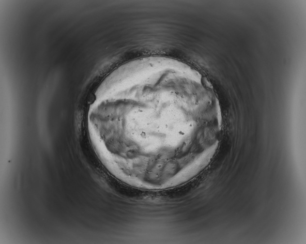 X0000086030742200704131912