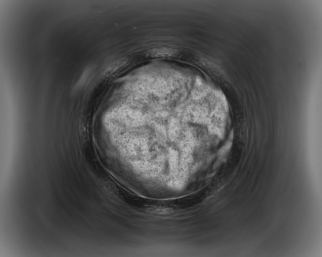 X0000086030743200704131912