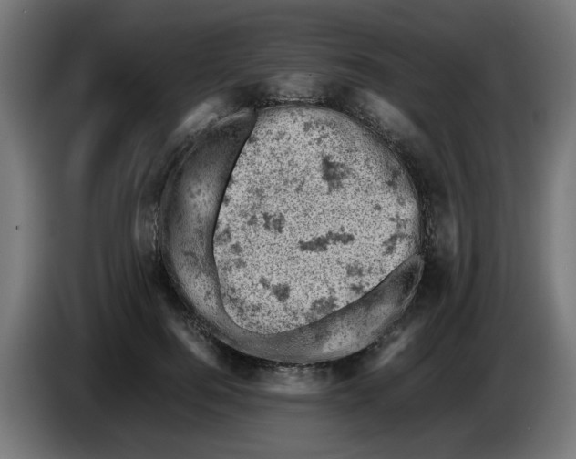 X0000086030744200704131912