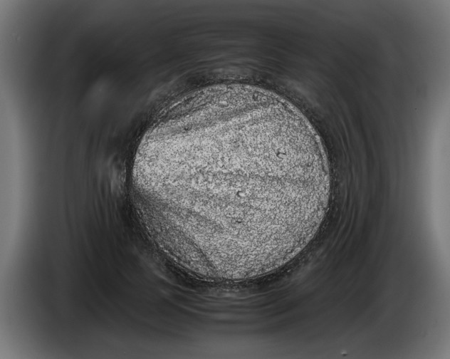 X0000086030745200704131912