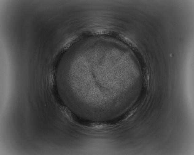 X0000086030746200704131912