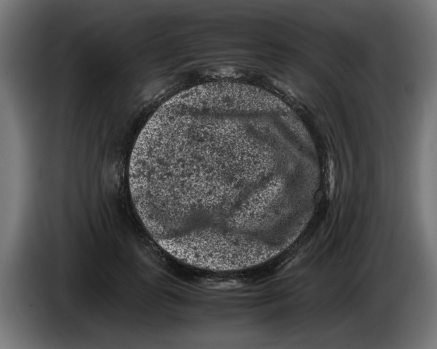 X0000086030747200704131912