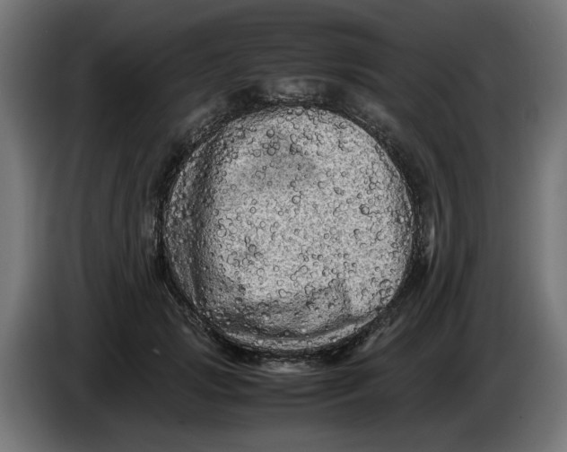 X0000086030749200704131912