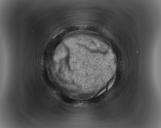 X0000086030750200704131912