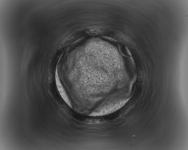 X0000086030751200704131912