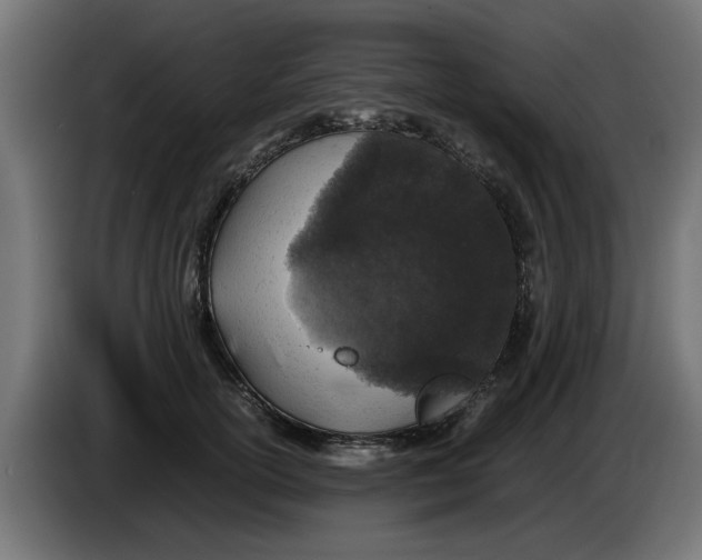 X0000086030754200704131912