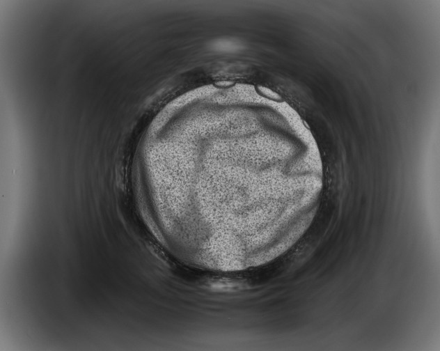 X0000086030755200704131912