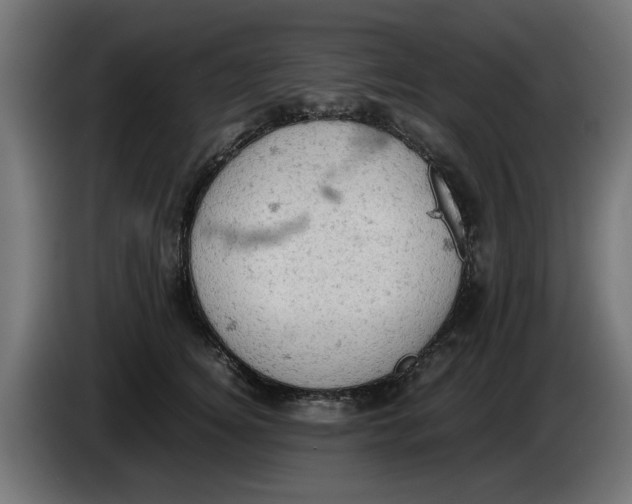 X0000086030756200704131912