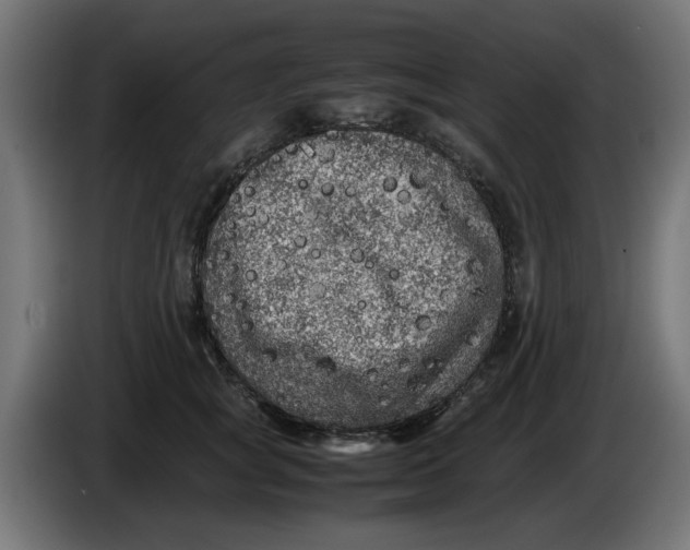 X0000086030757200704131912