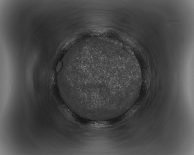 X0000086030758200704131912