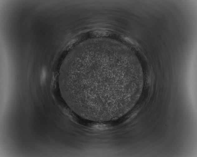 X0000086030759200704131912