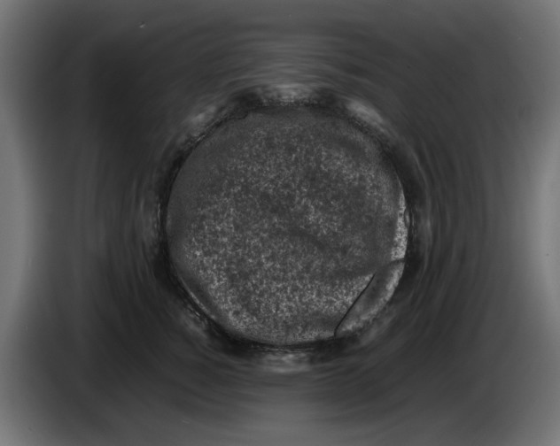 X0000086030760200704131912