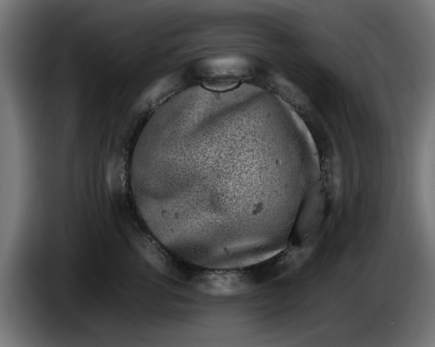 X0000086030762200704131912