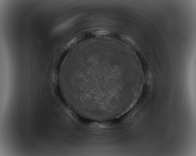 X0000086030763200704131912