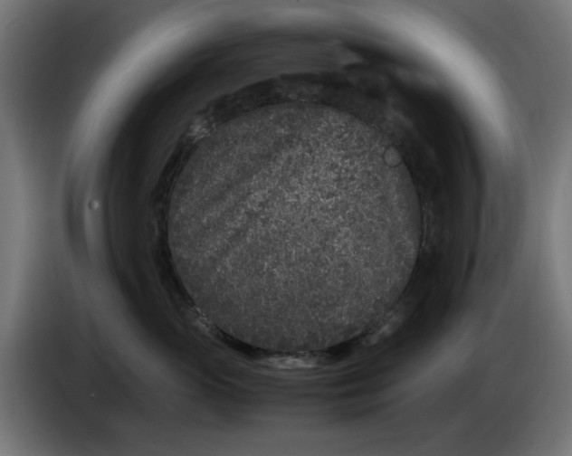 X0000086030765200704131912