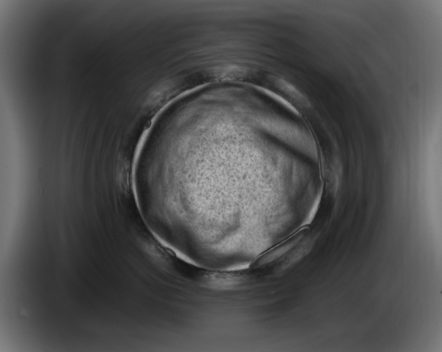 X0000086030766200704131912