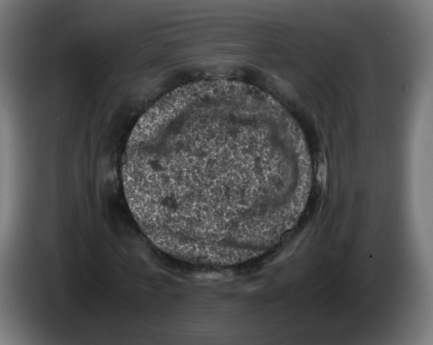 X0000086030771200704131912